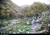 گردشگران در منطقه حفاظت شده چالابه - کرمانشاه