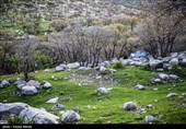 گردشگران در منطقه حفاظت شده چالابه - کرمانشاه