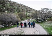 گردشگران در منطقه حفاظت شده چالابه - کرمانشاه