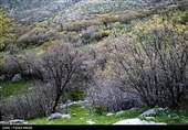 گردشگران در منطقه حفاظت شده چالابه - کرمانشاه
