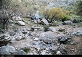 گردشگران در منطقه حفاظت شده چالابه - کرمانشاه