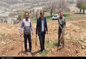 بازپس‌گیری 25 هکتار از اراضی ملی کهگیلویه و بویراحمد