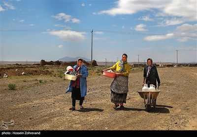 زنان روستای عبدالملکی سبزوار بیشترین فشار را در نبود آب و ریزش قنات تحمل می‌کنند؛ چرا که برای شست‌وشوی لباس، ظروف و تأمین آب مصرفی منزل، روزانه تا سه مرتبه مجبور به طی این مسیر هستند. این در حالی است که به دلیل ریزش و گرفتگی مسیر قنات، حجم آب نیز کاهش یافته و امکان برداشت آب در حد نیاز خانواده‌ها فراهم نیست.