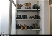 آخرین بازماندگان آهوی ایرانی در شمال غرب کشور