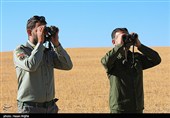 آخرین بازماندگان آهوی ایرانی در شمال غرب کشور