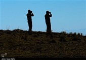 آخرین بازماندگان آهوی ایرانی در شمال غرب کشور