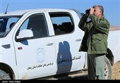 آخرین بازماندگان آهوی ایرانی در شمال غرب کشور