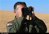 آخرین بازماندگان آهوی ایرانی در شمال غرب کشور