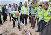 پویش ملی کاشت نهال و پاکسازی محیط در نسیم‌شهر اجرا شد