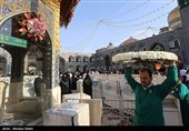گل آرایی سقاخانه و پنجره فولاد حرم رضوی به مناسبت دهه کرامت