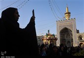 گل آرایی سقاخانه و پنجره فولاد حرم رضوی به مناسبت دهه کرامت