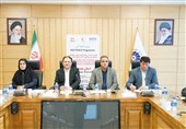 صادرات مازاد سیب‌زمینی همدان در مسیر اجرا/ اولویت بازار داخلی