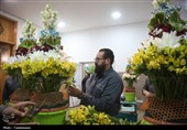 گل‌آرایی ضریح اخت‌الرضا(س)