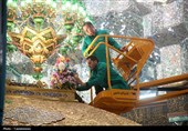 گل‌آرایی ضریح اخت‌الرضا(س)