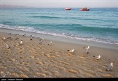 الیوم الوطنی للخلیج الفارسی فی ایران