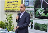 استاندار گیلان: اراضی ملی برای احیای نوغانداری واگذار می‌شود