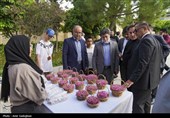 جشنواره گل و گلاب میمند - آرامگاه حافظیه