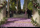جشنواره گل و گلاب میمند - آرامگاه حافظیه