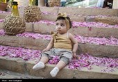 جشنواره گل و گلاب میمند - آرامگاه حافظیه