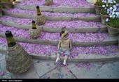جشنواره گل و گلاب میمند - آرامگاه حافظیه