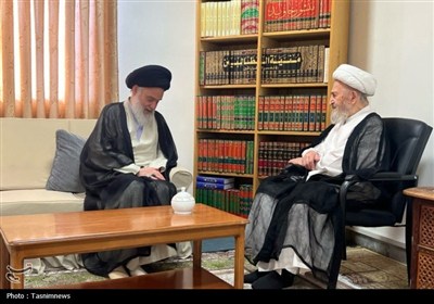 آیت‌الله حسینی‌بوشهری با آیت‌الله سبحانی دیدار کرد