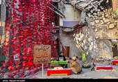 بازدید وزیر فرهنگ و ارشاد اسلامی از مدرسه شجره طیبه میناب