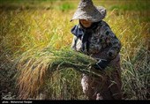 بمناسبت روز جهانی کار و کارگر
