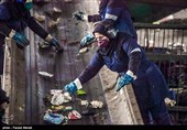 بمناسبت روز جهانی کار و کارگر