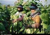 بمناسبت روز جهانی کار و کارگر