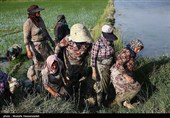 بمناسبت روز جهانی کار و کارگر