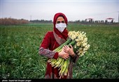 بمناسبت روز جهانی کار و کارگر