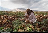 بمناسبت روز جهانی کار و کارگر