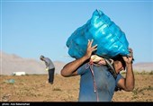 بمناسبت روز جهانی کار و کارگر