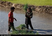 بمناسبت روز جهانی کار و کارگر