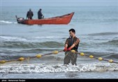 بمناسبت روز جهانی کار و کارگر