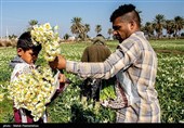 بمناسبت روز جهانی کار و کارگر