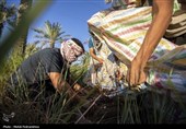 بمناسبت روز جهانی کار و کارگر