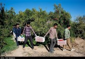 بمناسبت روز جهانی کار و کارگر