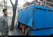 دستگیری قاچاقچیان چوب در بدر و پریشان؛ 3 تن چوب توقیف شد