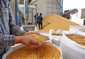 تسهیل واردات کالاهای اساسی و کاهش بروکراسی در منطقه آزاد ارس