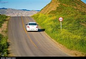 دشت گل های شقایق  - خراسان شمالی