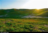 دشت گل های شقایق  - خراسان شمالی