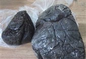 کشف 50 کیلوگرم تریاک در خاورشهر/ سوداگر مرگ دستگیر شد