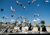 День «Шираза» в иранском календаре