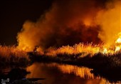 یادداشت| تالاب میقان و زخمی که تنها با دستانِ همسایگانش التیام می‌یابد