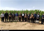 سفر رئیس سازمان منابع طبیعی کشور به استان مرکزی