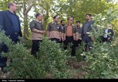 سفر رئیس سازمان منابع طبیعی کشور به استان مرکزی