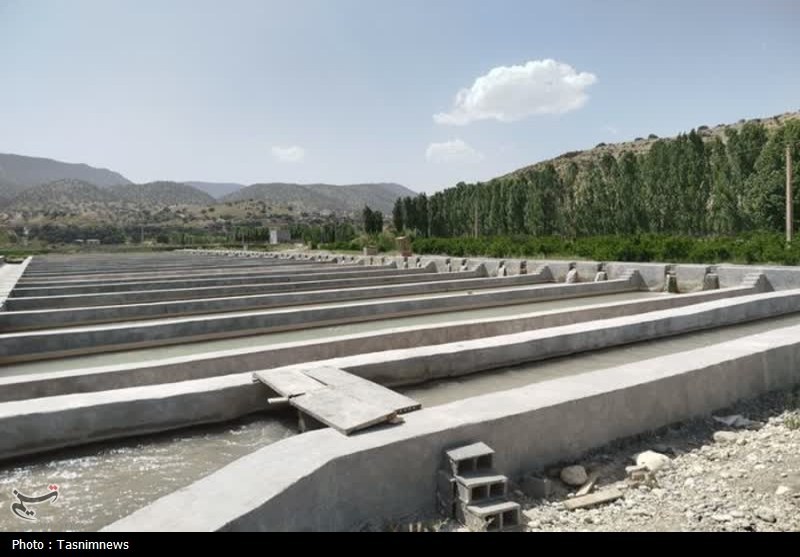 کشاورزی , اخبار استان کهگیلویه و بویراحمد , 