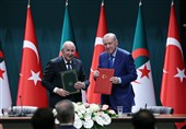 اردوغان: ترکیه و الجزایر روابط خود بخصوص در حوزه گاز را افزایش می‌دهند