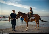 جان دوباره دریاچه مهارلو - شیراز